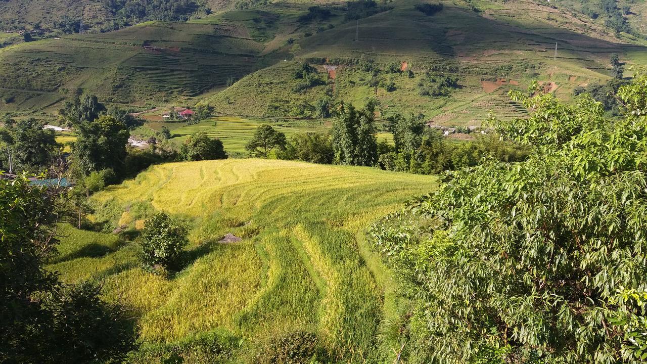 Ta Van Green Hills Homestay Sa Pa Buitenkant foto